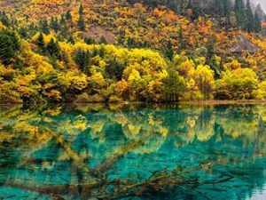 Tour du lịch Cửu Trại Câu – Mâu Ni Câu – Thành Đô 5 ngày 4 đêm