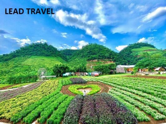 happy land mộc châu