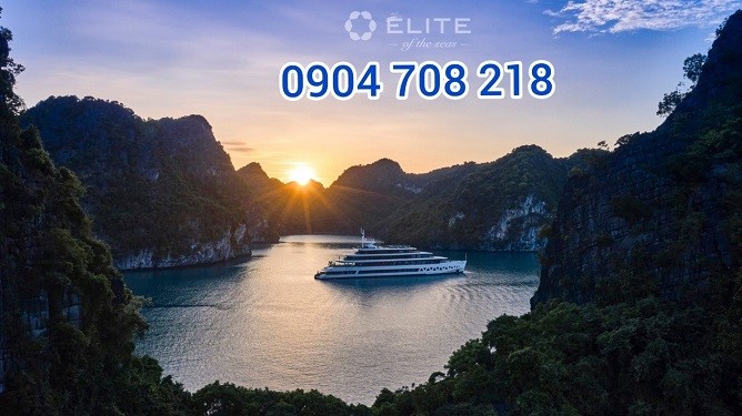 elite of the sea