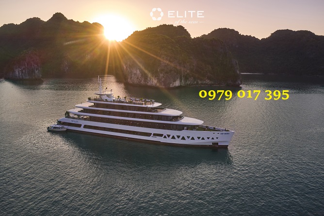 elite of the seas cruise