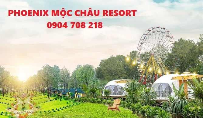 phoenix mộc châu resort
