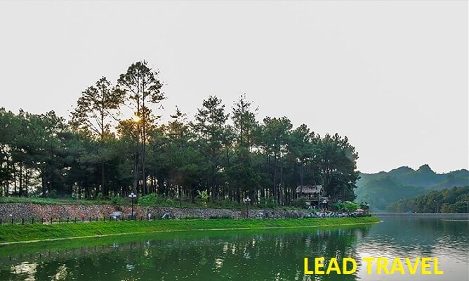 rừng thông bản áng mộc châu