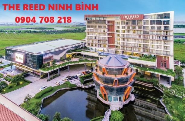 the reed ninh bình