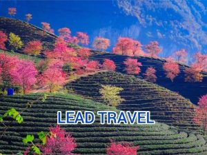 du lich sapa thang 10