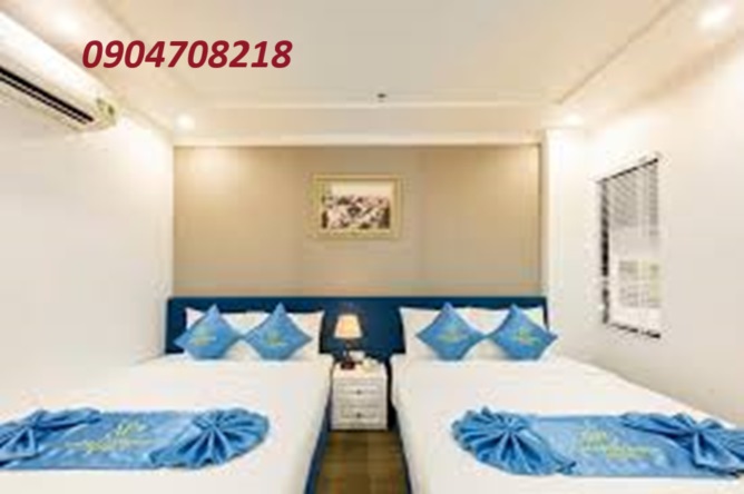 khách sạn cát bà wonder hotel