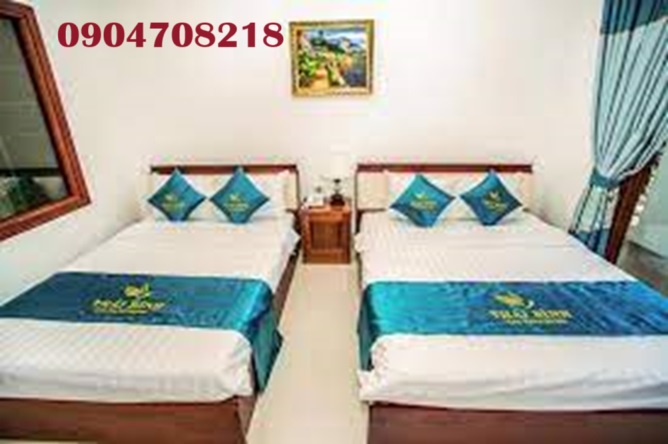 thái bình hotel cam ranh