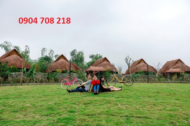 sào báy kim bôi hòa bình