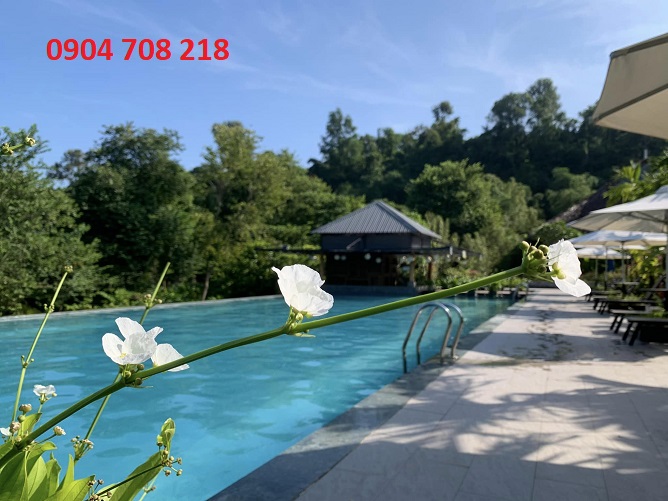 an lạc eco farm & hot springs