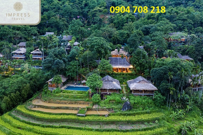 natura pu luong
