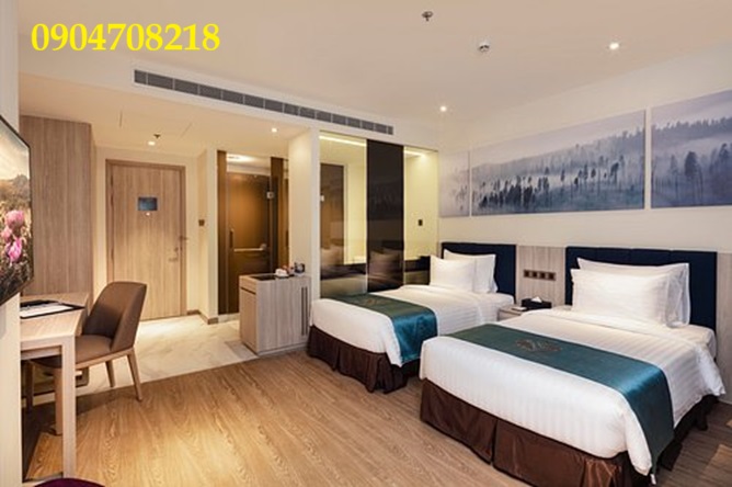 the art nest nha trang