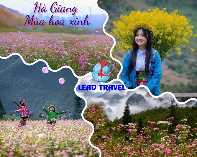 du lịch hà giang 3 ngày