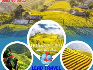 du lịch hoàng su phì