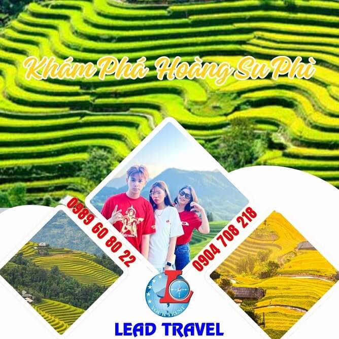 tour hoàng su phì